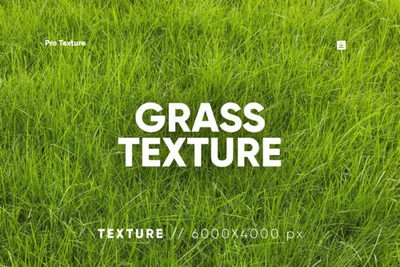 30 Grass Texture HQ