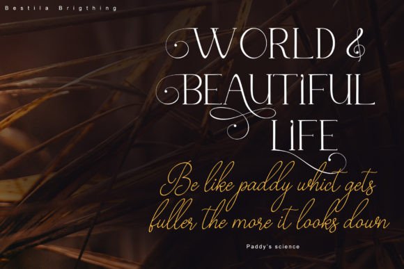 Bestiela Brigthing Font - Preview 2