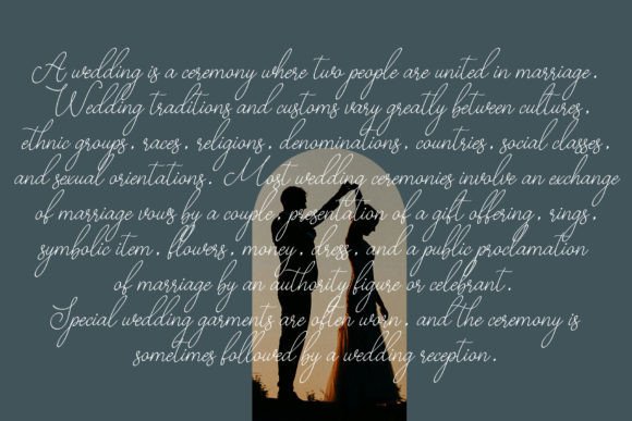 Bestiela Brigthing Font - Preview 3