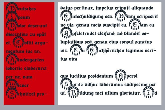 Canton Constitution Font - Preview 4