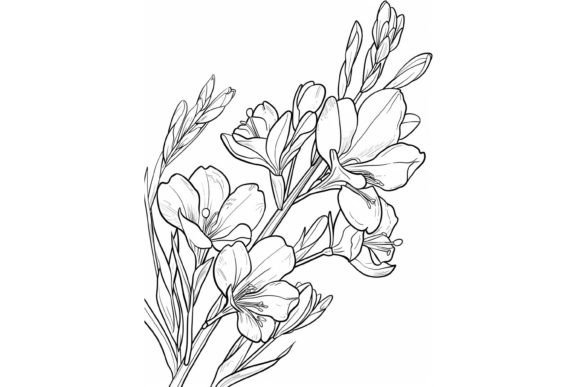 Freesia Flower Coloring Page