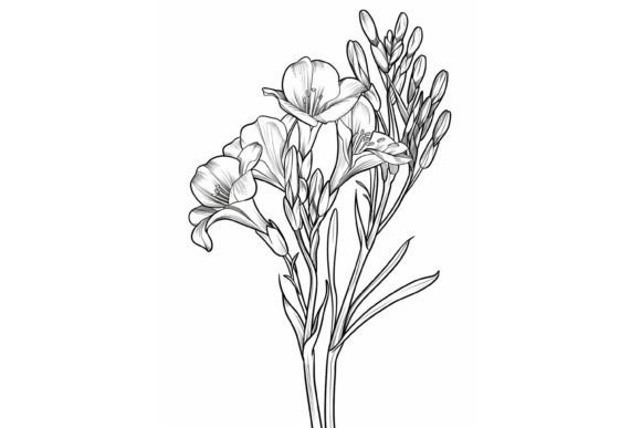 Freesia Flower Coloring Page