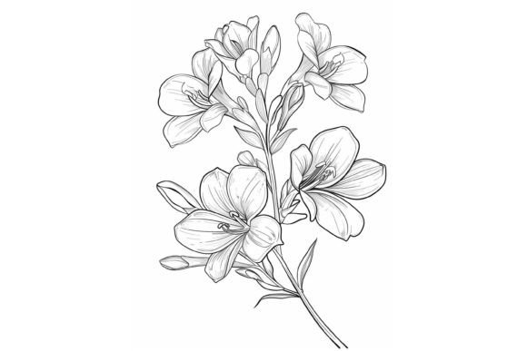 Freesia Flower Coloring Page