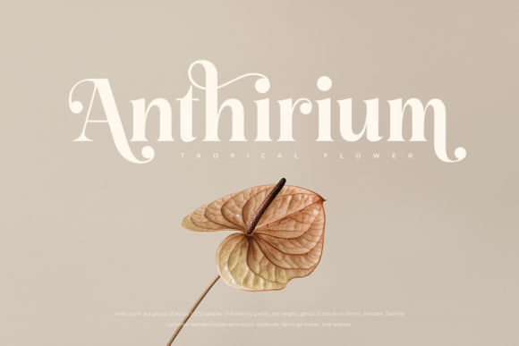 Gafta Font - Preview 1