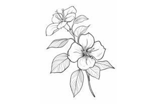 Jasmine Flower Coloring Page