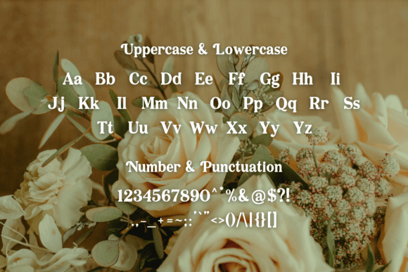 Pagonia Font PNG with transparent background - Preview 1