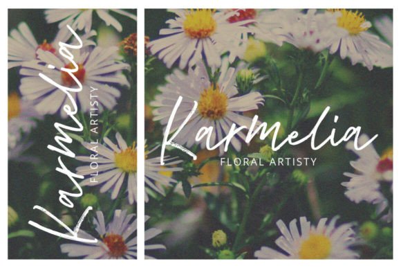 Abesin Font - Preview 1
