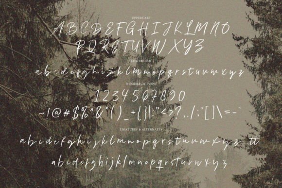Abesin Font - Preview 5