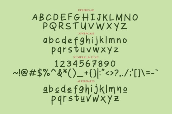 Bobby Flow Display Font - Preview 3