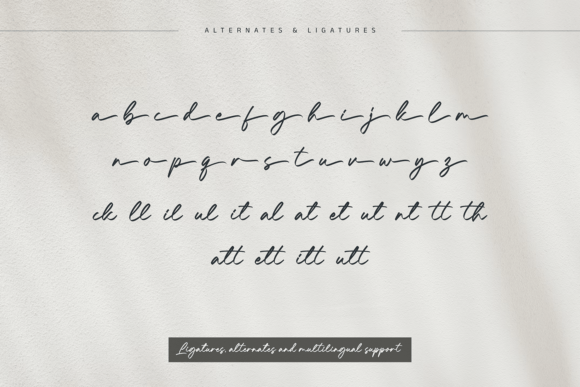 Breaking Roads Font PNG with transparent background - Preview 2