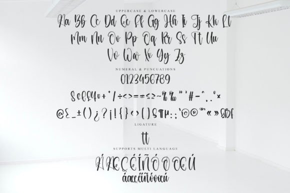 Bride Signature Font - Preview 5