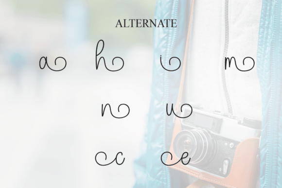 Camera Font - Preview 6