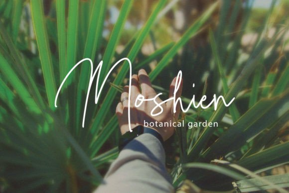 Mordesta  Font PNG with transparent background - Preview 4