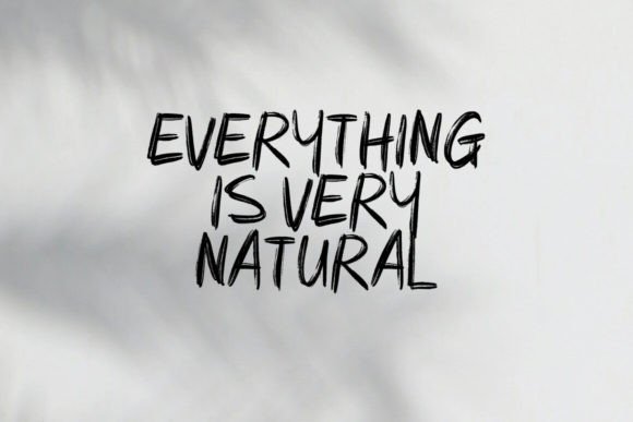 Nopase Brush Font PNG with transparent background - Preview 2