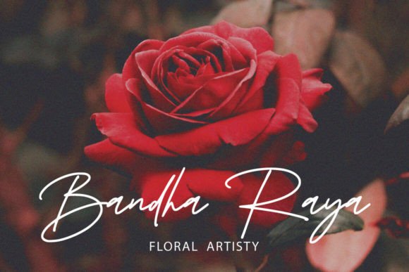 Revilia Font font preview - 6