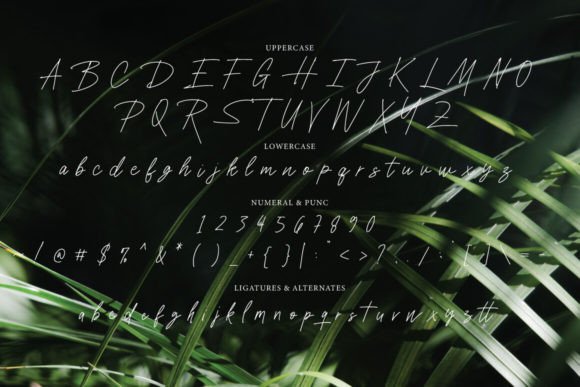 Sendian Font PNG with transparent background - Preview 6