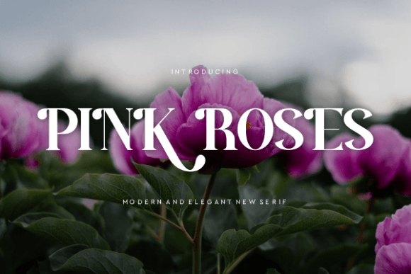 Antasena Font - Preview 2