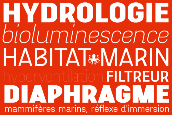 Aconit Font - Preview 2