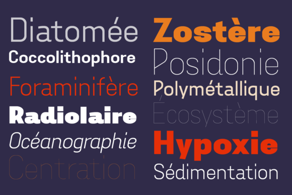 Aconit Font - Preview 6