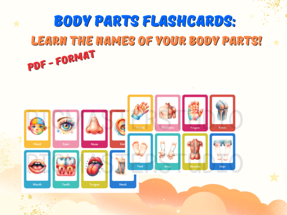 Body Parts Flashcards for Kids