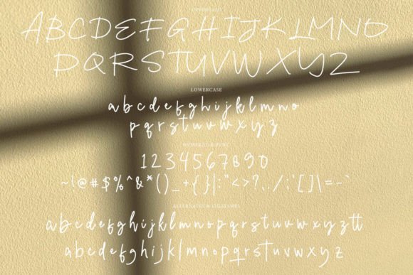 Cersin Signature Font - Preview 5