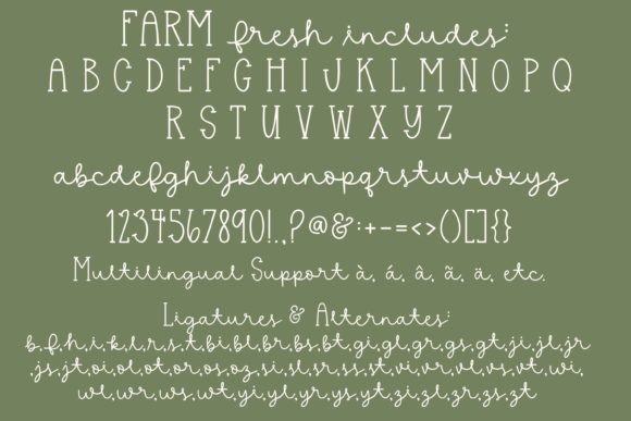 Farm Fresh Font - Preview 4