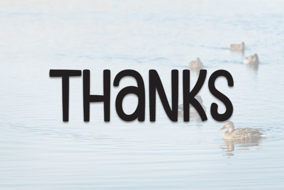 Brown Duck Font - Preview 6