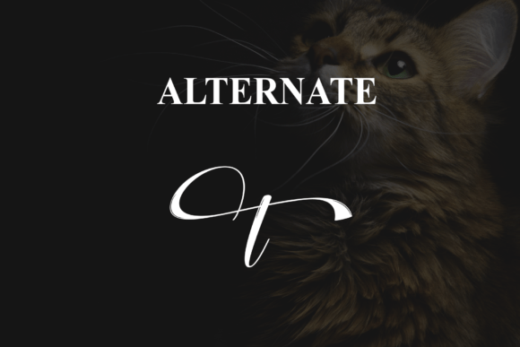 Creature Font - Preview 6