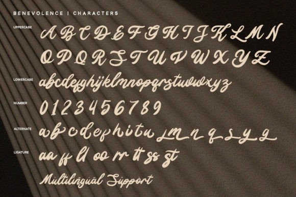Benevolence Font - Preview 4