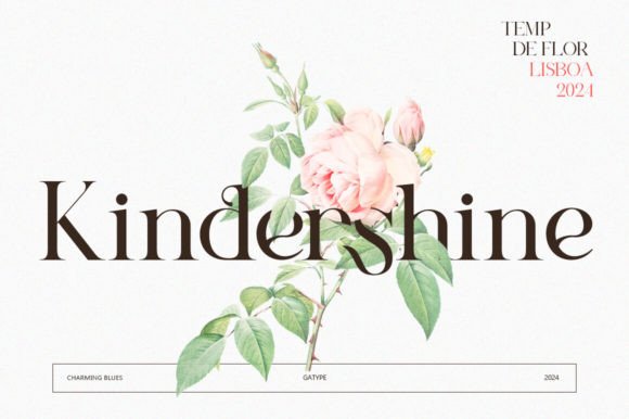 Charming Blues Font - Preview 5