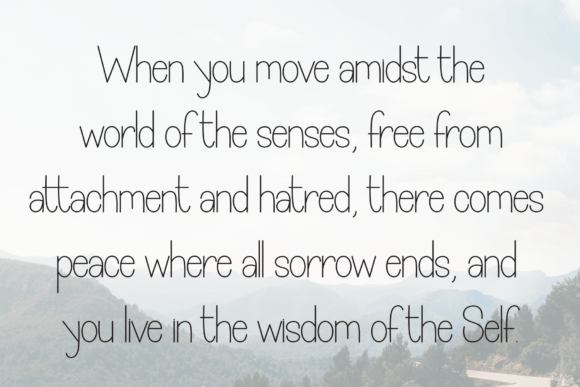 Beach Moment Font - Preview 5