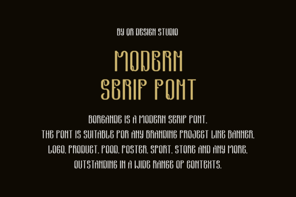 Borgande Font - Preview 2
