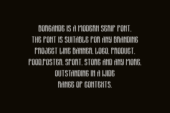 Borgande Font - Preview 4