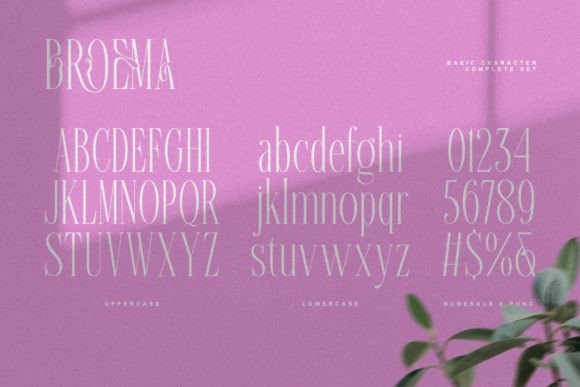 Broema Font - Preview 5