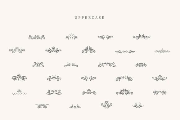 Clamshell Divider Font PNG with transparent background - Preview 1