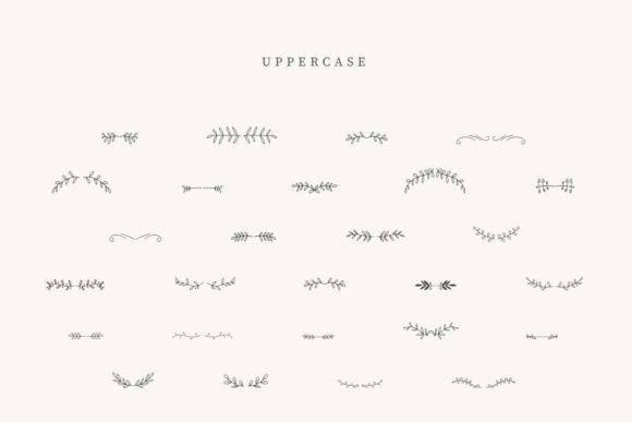 Coffe Divider Font - Preview 1