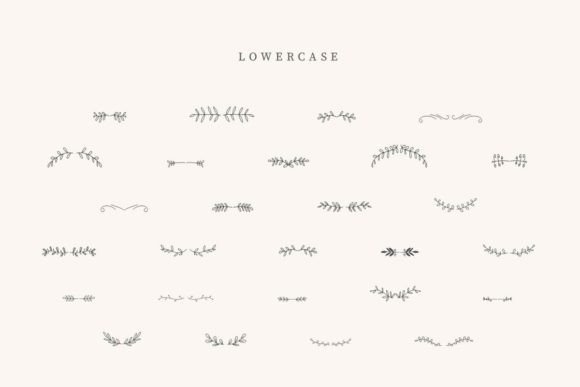 Coffe Divider Font - Preview 2