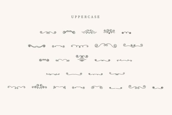Fancy Divider Font - Preview 1