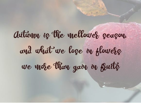 Meytanio Font PNG with transparent background - Preview 3