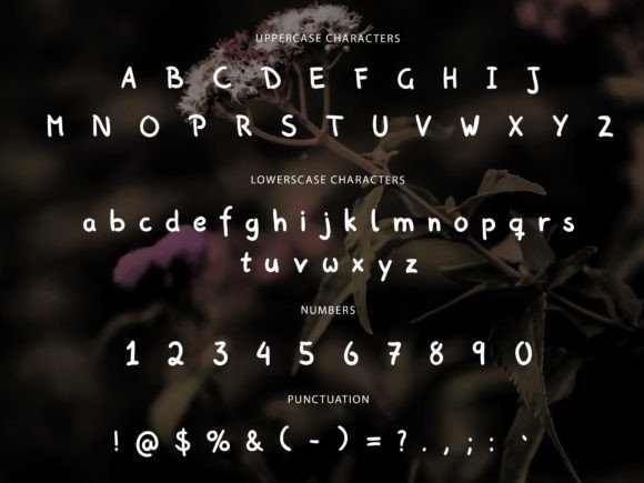 Doladooli Font - Preview 4