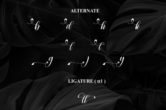 Handwritting Font - Preview 6