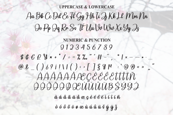 Saga Font PNG with transparent background - Preview 6