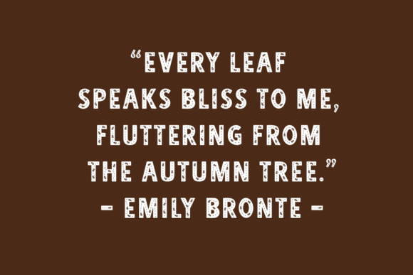 Autumn Season Font - Preview 2