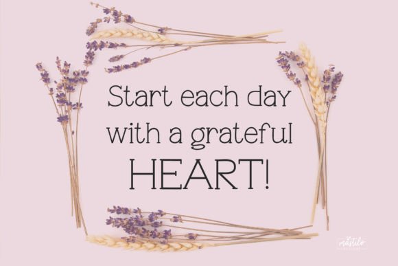 Every Day Font PNG with transparent background - Preview 3