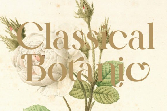 Kalroste Brontela Font PNG with transparent background - Preview 3