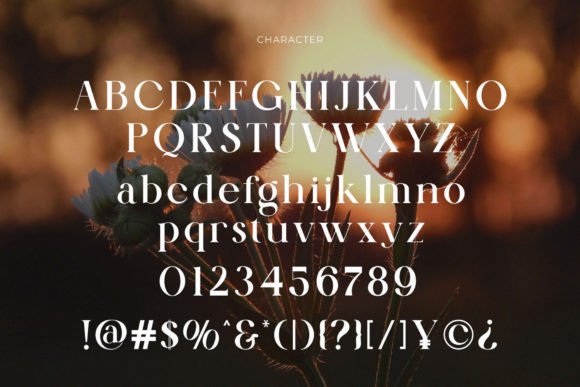 Kalroste Brontela Font PNG with transparent background - Preview 6