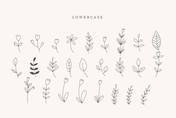 Nurse Leaves Font PNG with transparent background - Preview 2