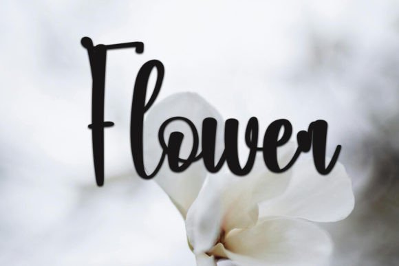 Raindrop Font PNG with transparent background - Preview 2