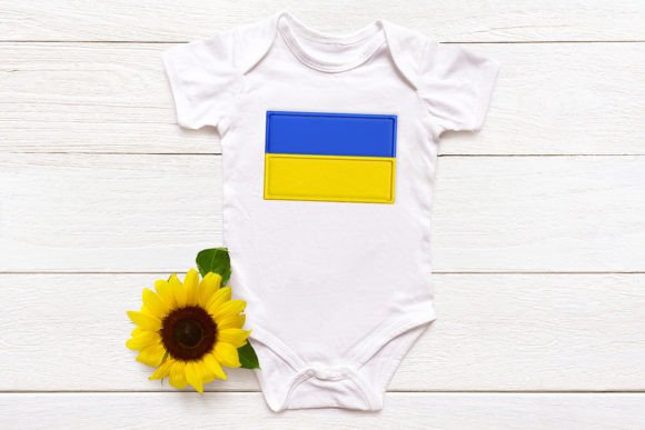 2 Color Horizontal Stripe Flag Applique