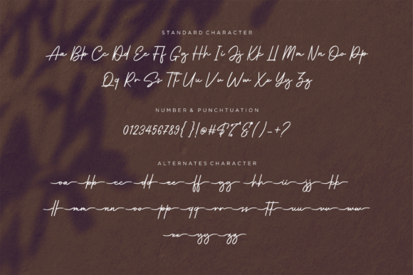 Hillstadts Signature Font - Preview 6